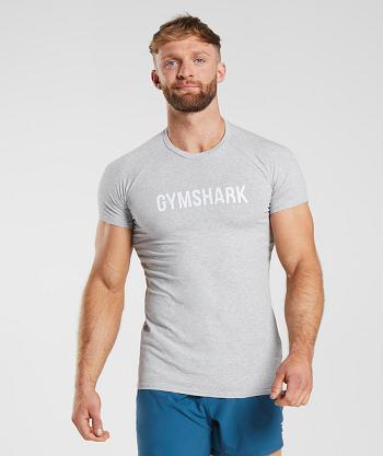 Gymshark Apollo T Shirts Herr Ljusgrå | SE 3873SGL